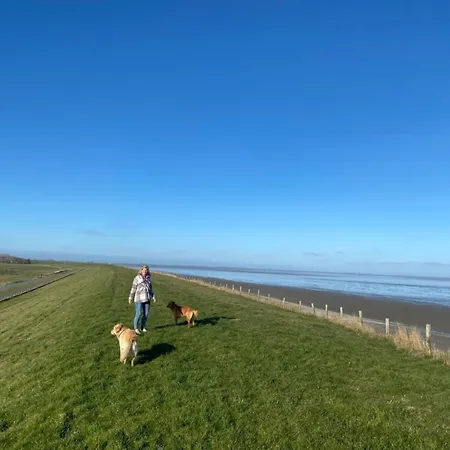 Nr90 Neues, Ruhiges Direkt Am Wattenmeer, Hundefreundlich, Komplett Eingezaeunt Hotel 3*