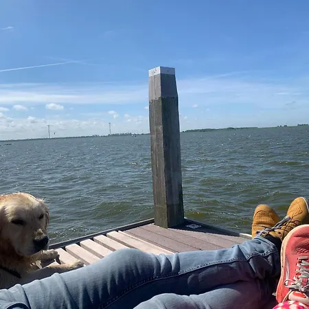Nr90 Neues, Ruhiges Direkt Am Wattenmeer, Hundefreundlich, Komplett Eingezaeunt فندق