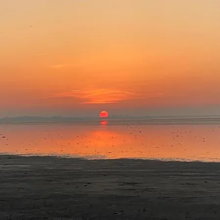 Nr90 Neues, Ruhiges Direkt Am Wattenmeer, Hundefreundlich, Komplett Eingezaeunt فندق