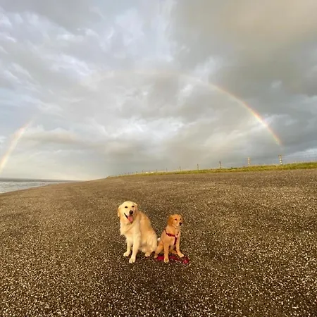 فندق Nr90 Neues, Ruhiges Direkt Am Wattenmeer, Hundefreundlich, Komplett Eingezaeunt 3*